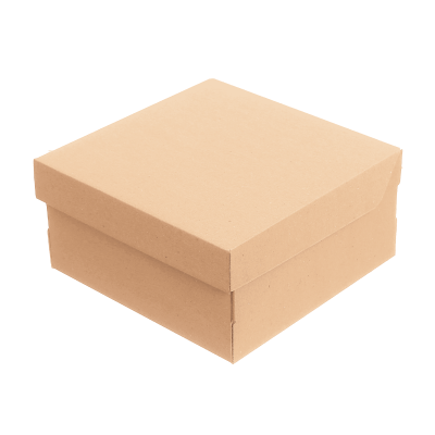 Коробка самосборная  200*200*100 мм бурая. GFR